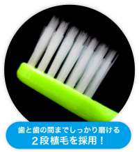 歯と歯の間までしっかり磨ける２段植毛を採用！